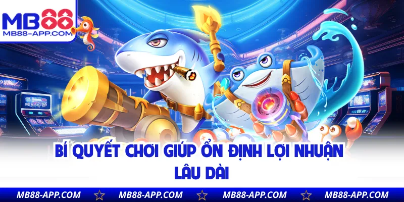 Bí quyết chơi giúp ổn định lợi nhuận lâu dài